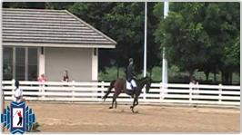Camelot Riding Resort & Country Club Membership buy / rental / trade