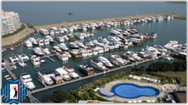 Discovery Bay Marina Club Membership buy / rental / trade